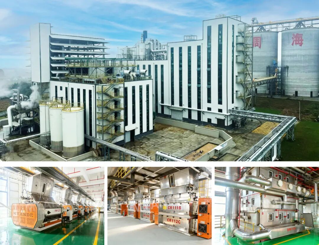 迈安德承建4000吨大豆预处理浸出车间，660吨精炼车间