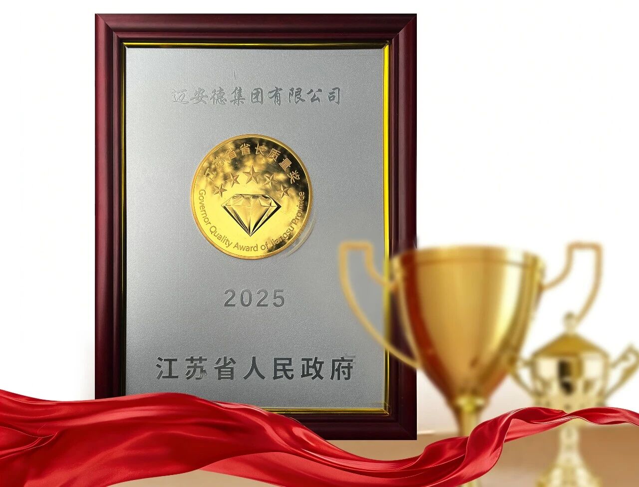 迈安德荣获2025年江苏省省长质量奖